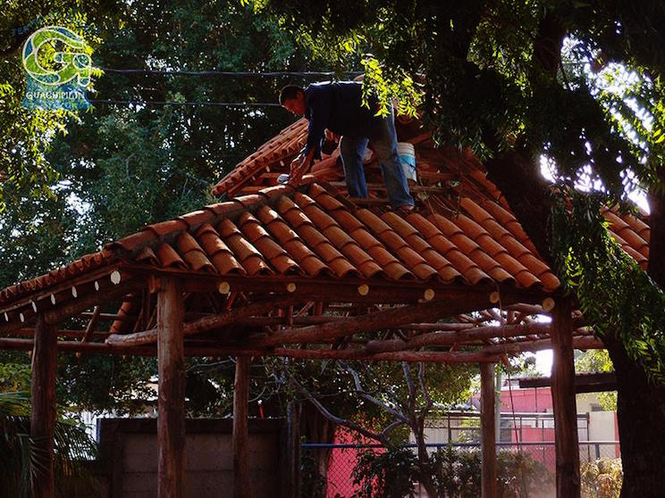 Guachipilin